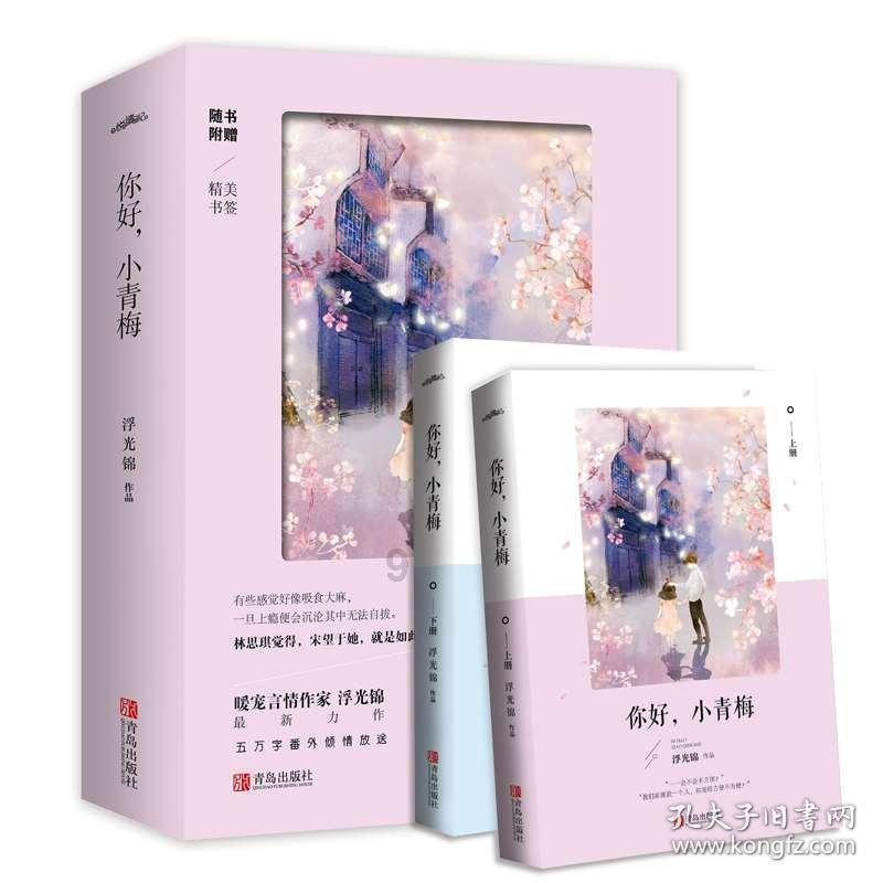 救援猫与武士
